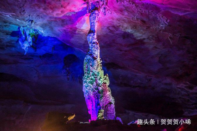 救援受困的小恐龙